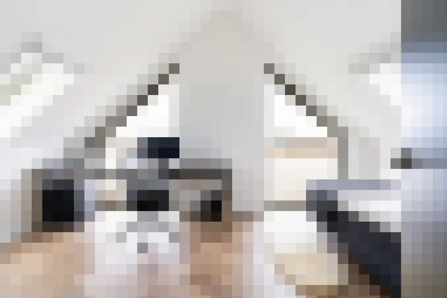 Zuiderrak 39 Sneek thumbnail 37