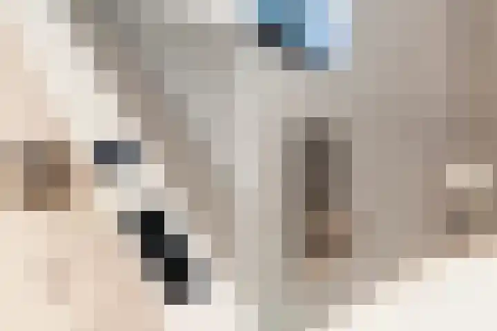 Zuiderrak 39 Sneek thumbnail 39