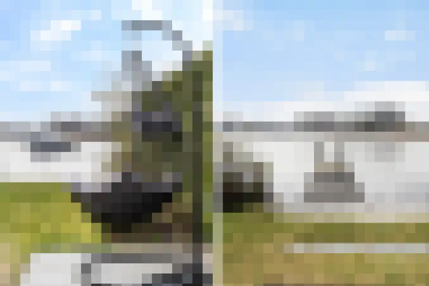 Zuiderrak 39 Sneek thumbnail 49