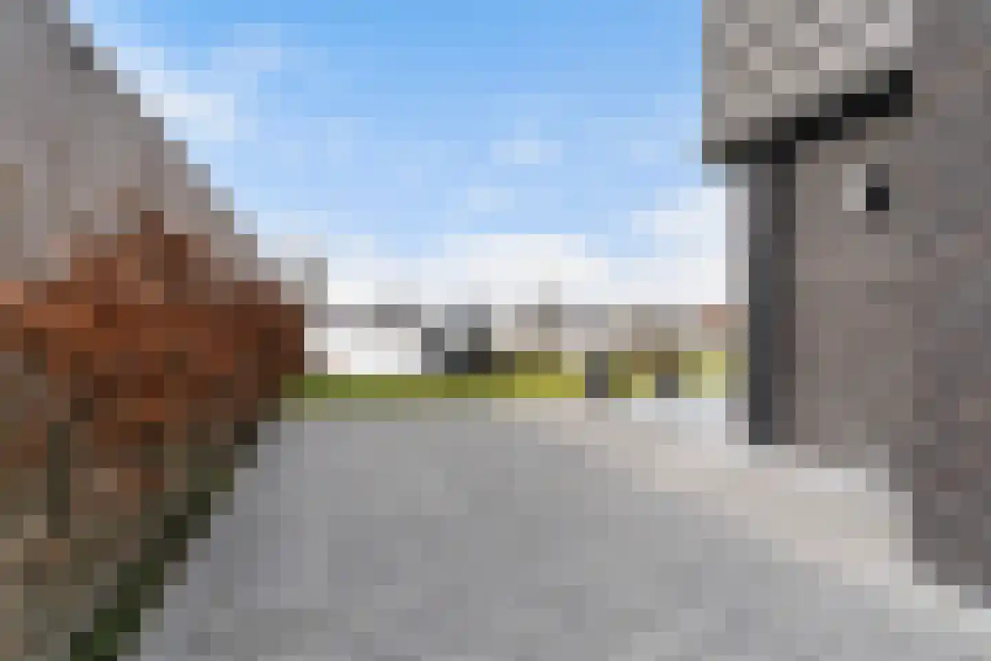 Zuiderrak 39 Sneek thumbnail 63