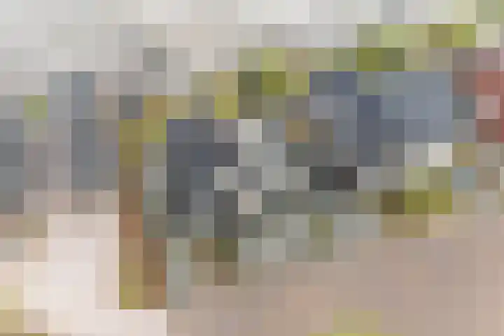 Zuiderrak 39 Sneek thumbnail 72