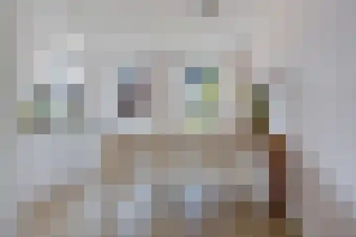 Zuiderrak 54 Sneek thumbnail 11