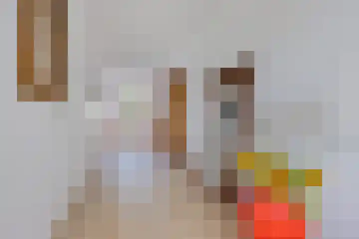 Zuiderrak 54 Sneek thumbnail 12