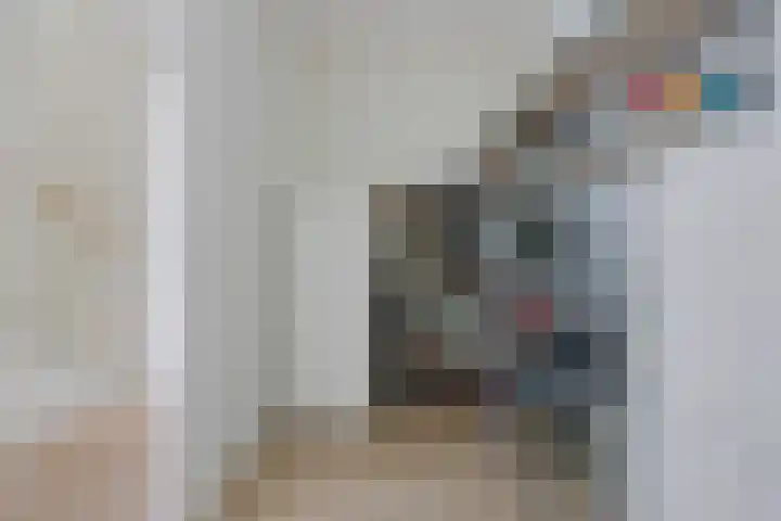 Zuiderrak 54 Sneek thumbnail 16