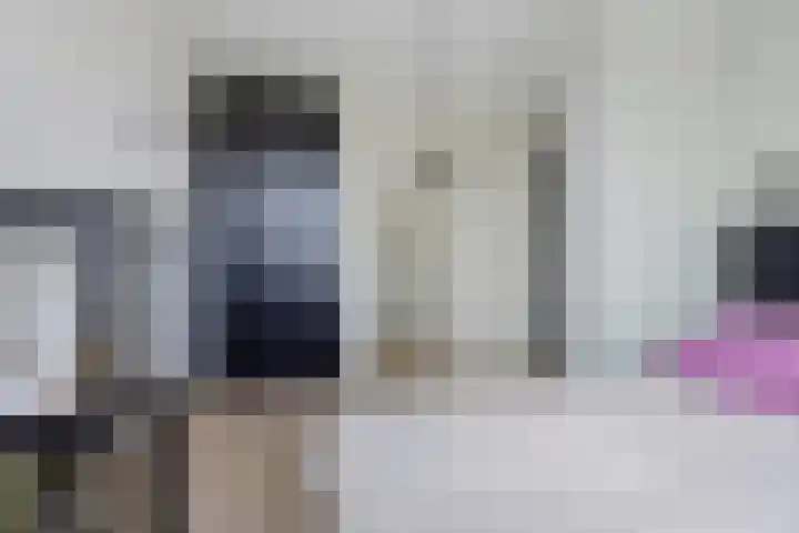 Zuiderrak 54 Sneek thumbnail 18