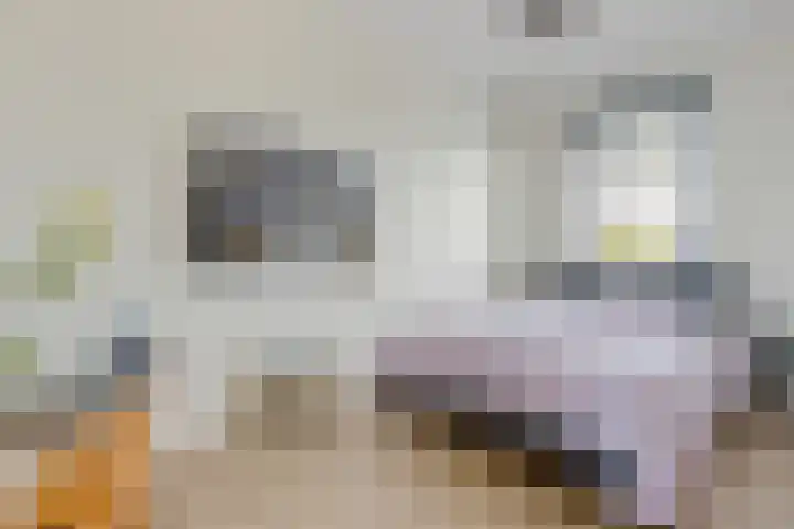 Zuiderrak 54 Sneek thumbnail 19