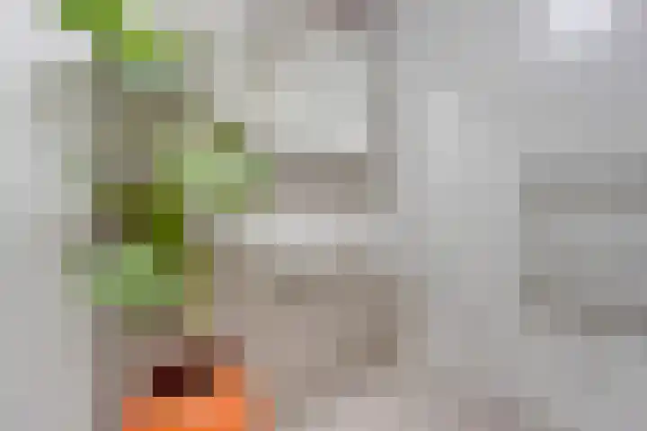 Zuiderrak 54 Sneek thumbnail 23