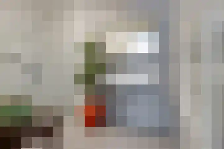 Zuiderrak 54 Sneek thumbnail 24