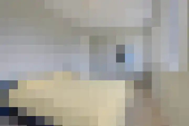 Zuiderrak 54 Sneek thumbnail 27