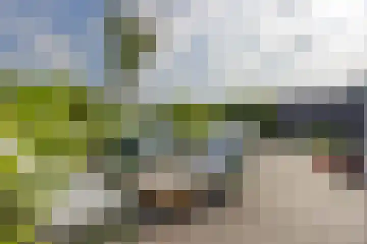 Zuiderrak 54 Sneek thumbnail 31