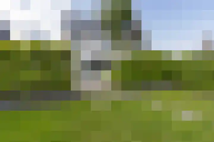 Zuiderrak 54 Sneek thumbnail 34