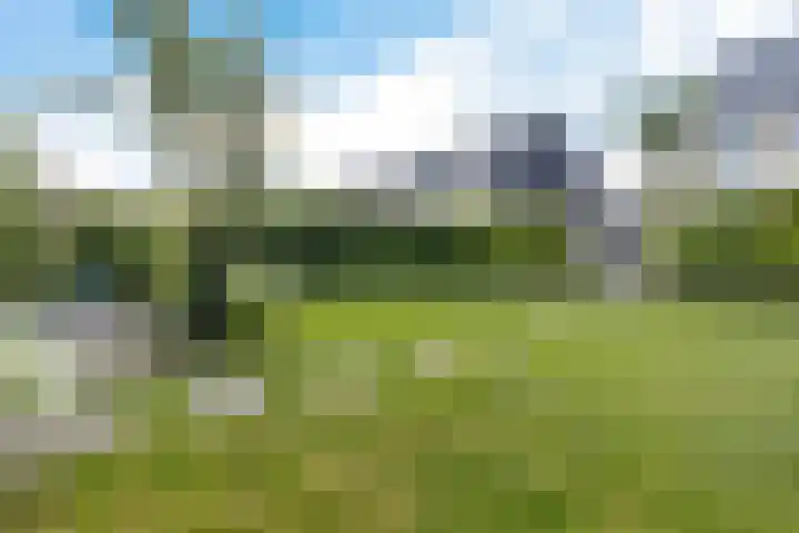 Zuiderrak 54 Sneek thumbnail 35