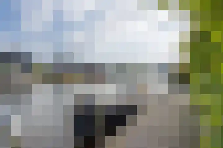 Zuiderrak 54 Sneek thumbnail 37