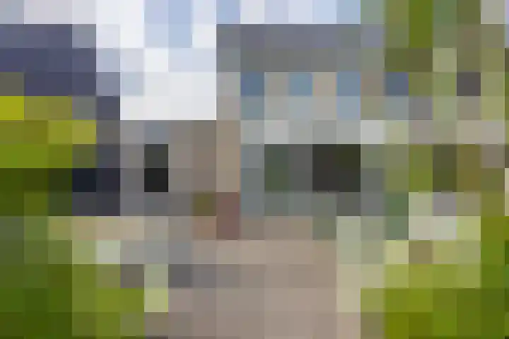 Zuiderrak 54 Sneek thumbnail 39