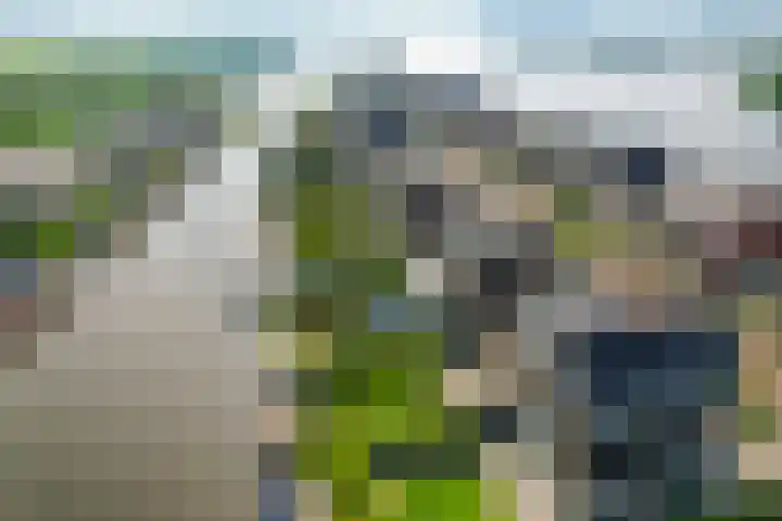 Zuiderrak 54 Sneek thumbnail 46