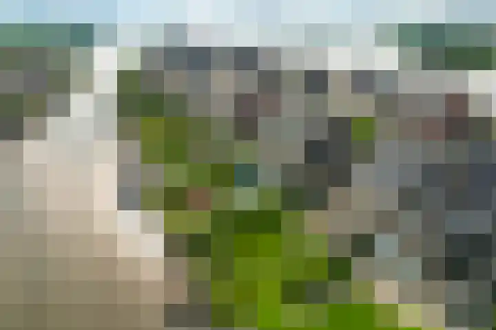 Zuiderrak 54 Sneek thumbnail 47