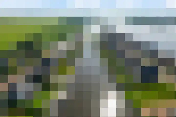 Zuiderrak 54 Sneek thumbnail 49