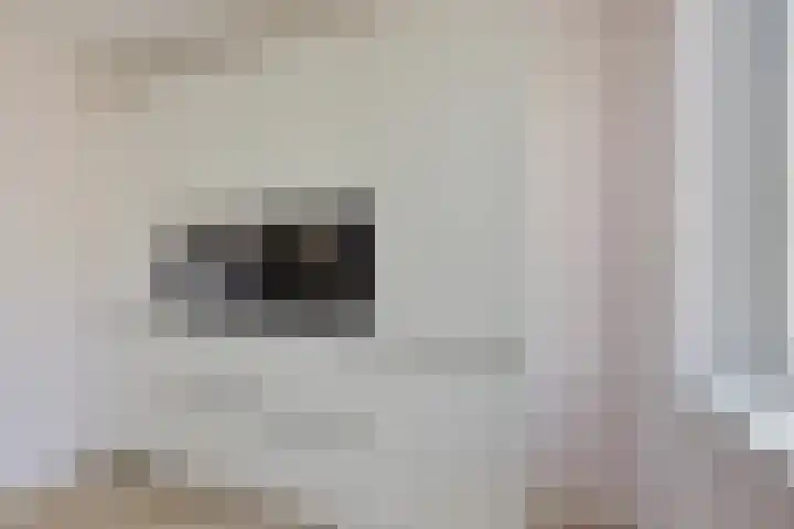 Zuiderrak 54 Sneek thumbnail 8