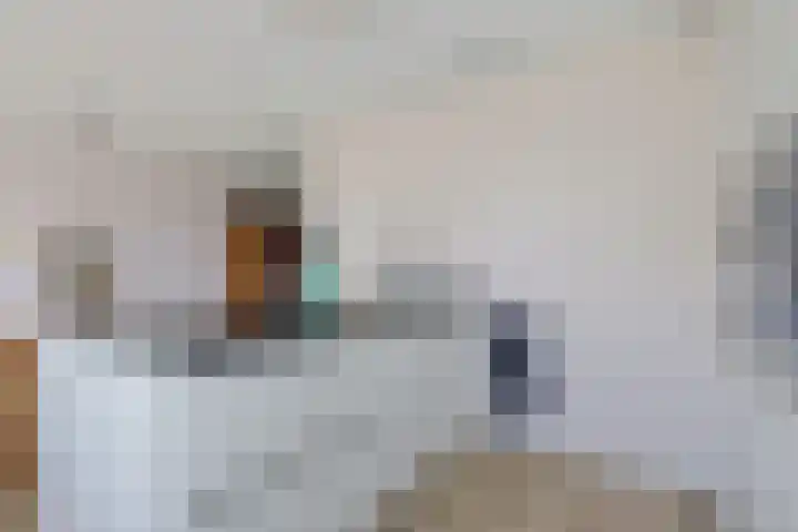 Zuiderrak 54 Sneek thumbnail 9
