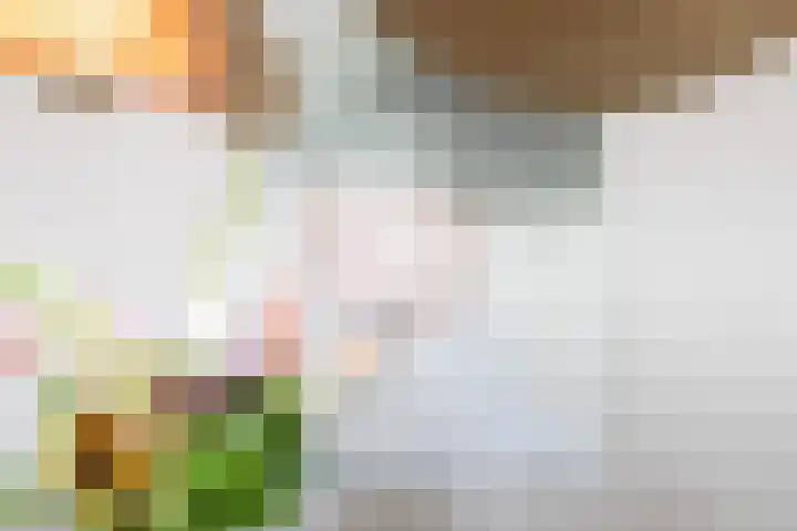 Zuiderrak 59 Sneek thumbnail 11