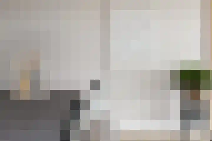 Zuiderrak 59 Sneek thumbnail 14