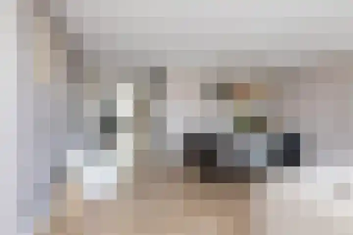 Zuiderrak 59 Sneek thumbnail 15