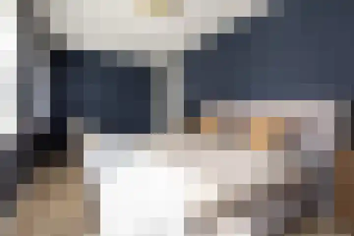 Zuiderrak 59 Sneek thumbnail 30