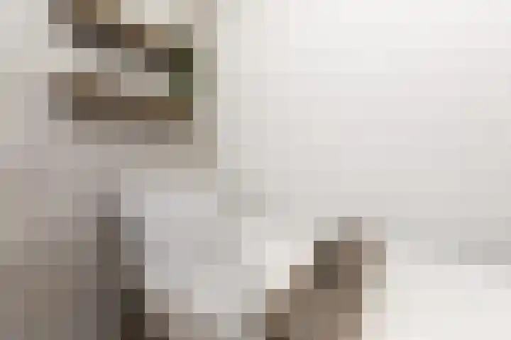 Zuiderrak 59 Sneek thumbnail 37
