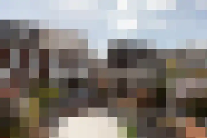 Zuiderrak 59 Sneek thumbnail 59