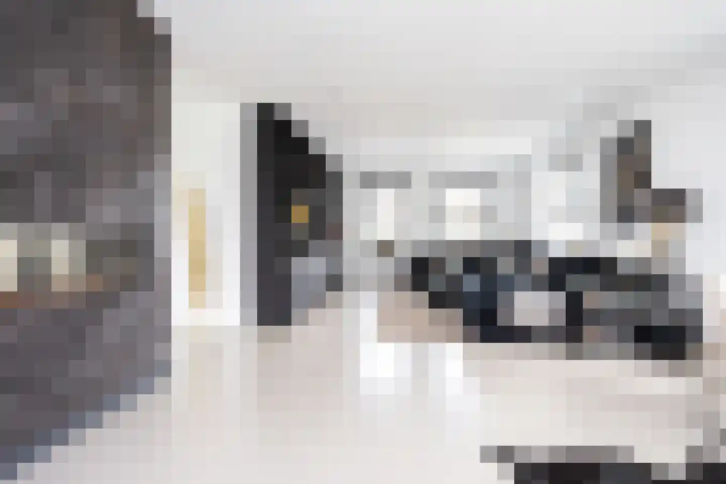 Zuidersingel 10 Berkel en Rodenrijs thumbnail 17