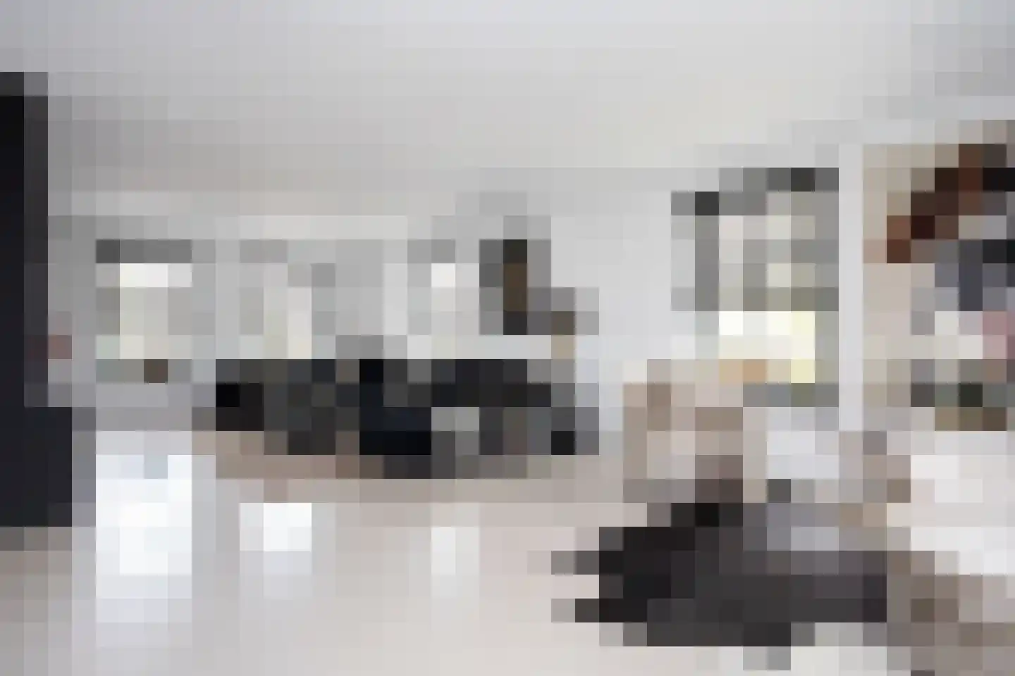Zuidersingel 10 Berkel en Rodenrijs thumbnail 18