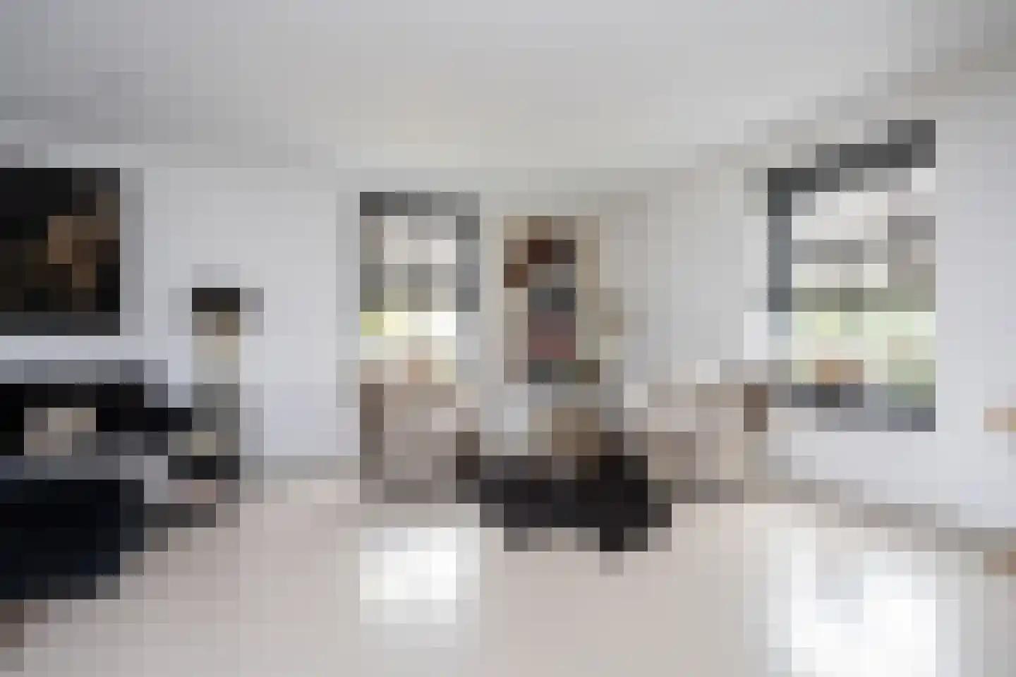 Zuidersingel 10 Berkel en Rodenrijs thumbnail 20