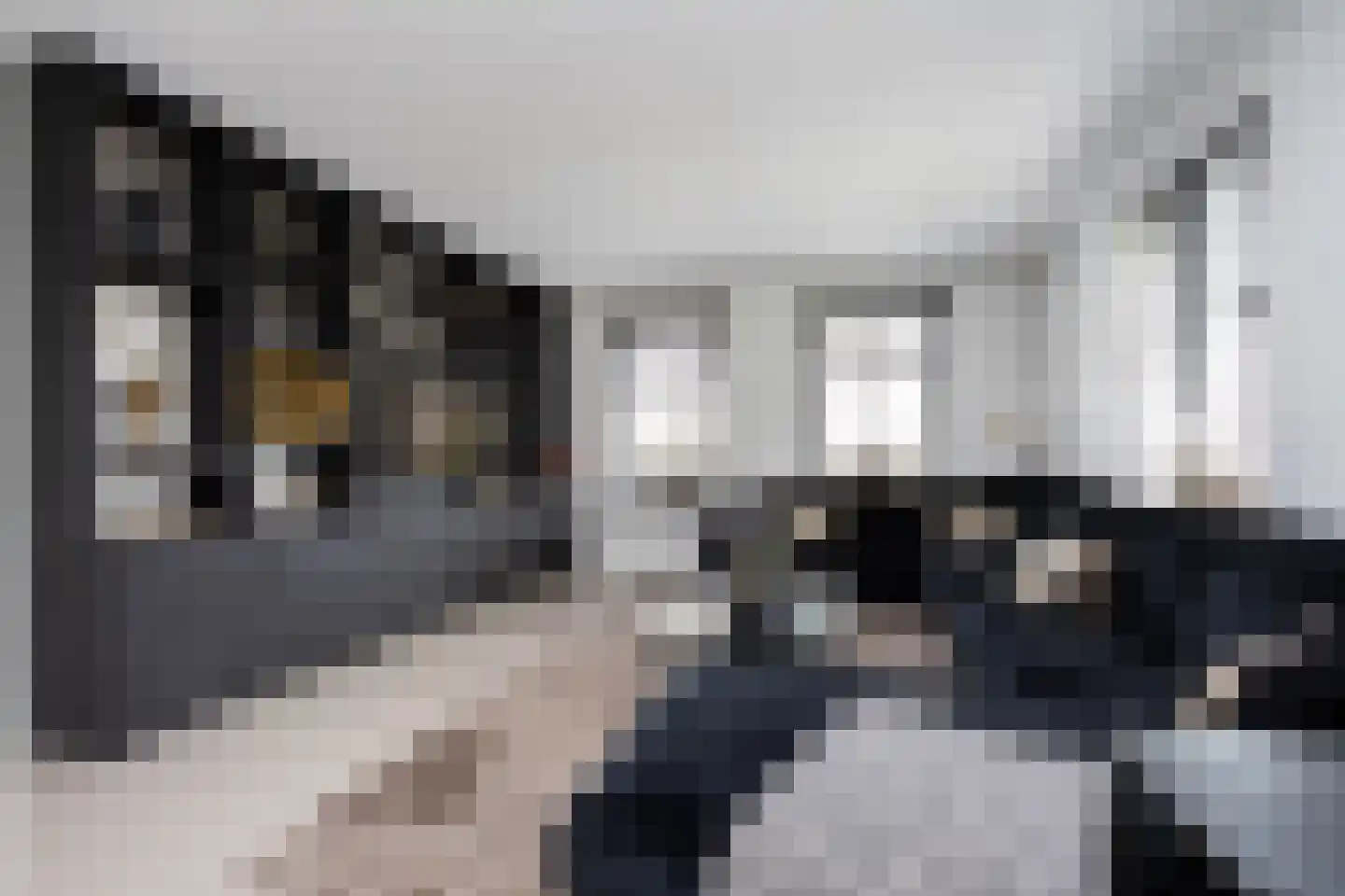Zuidersingel 10 Berkel en Rodenrijs thumbnail 22
