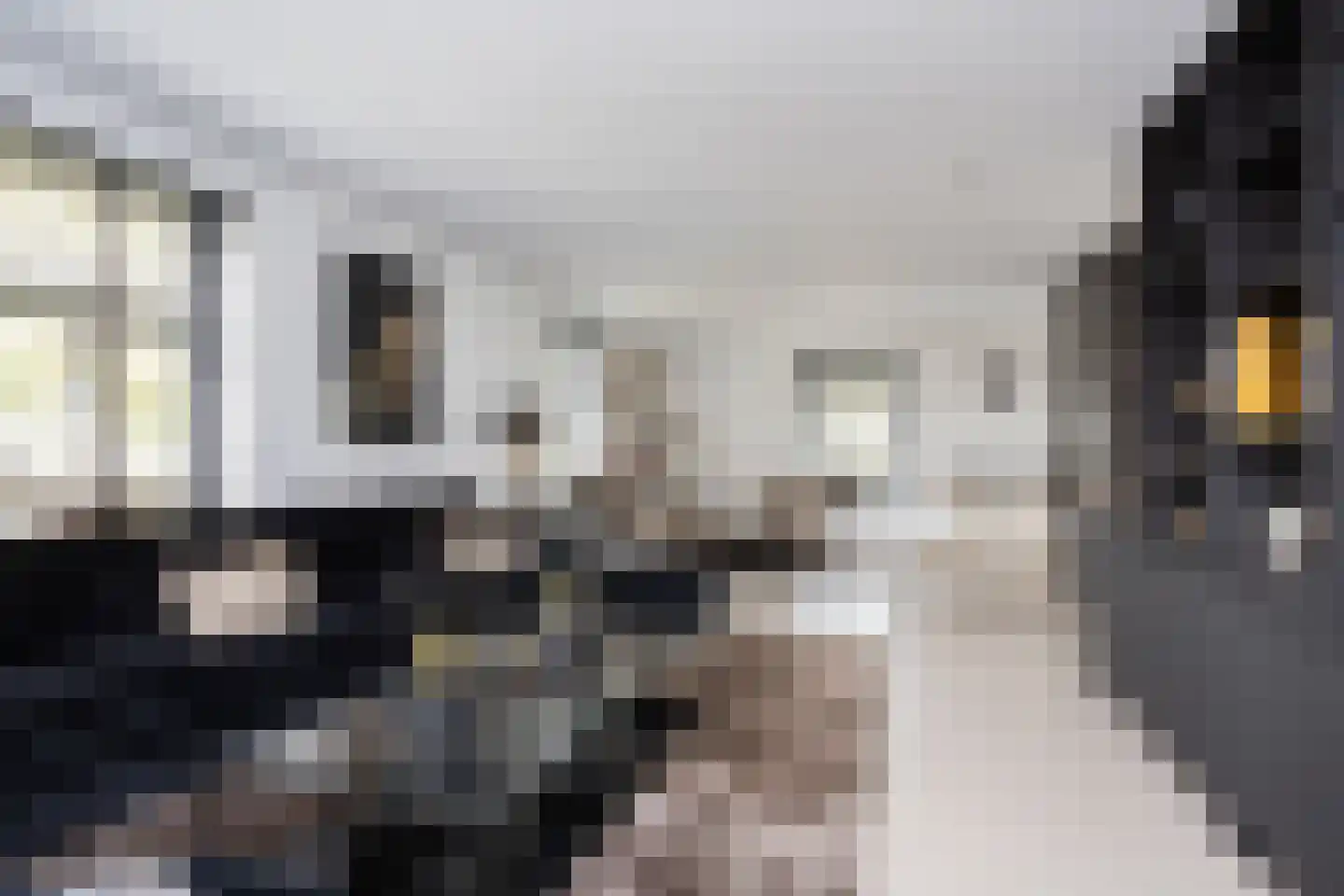 Zuidersingel 10 Berkel en Rodenrijs thumbnail 23