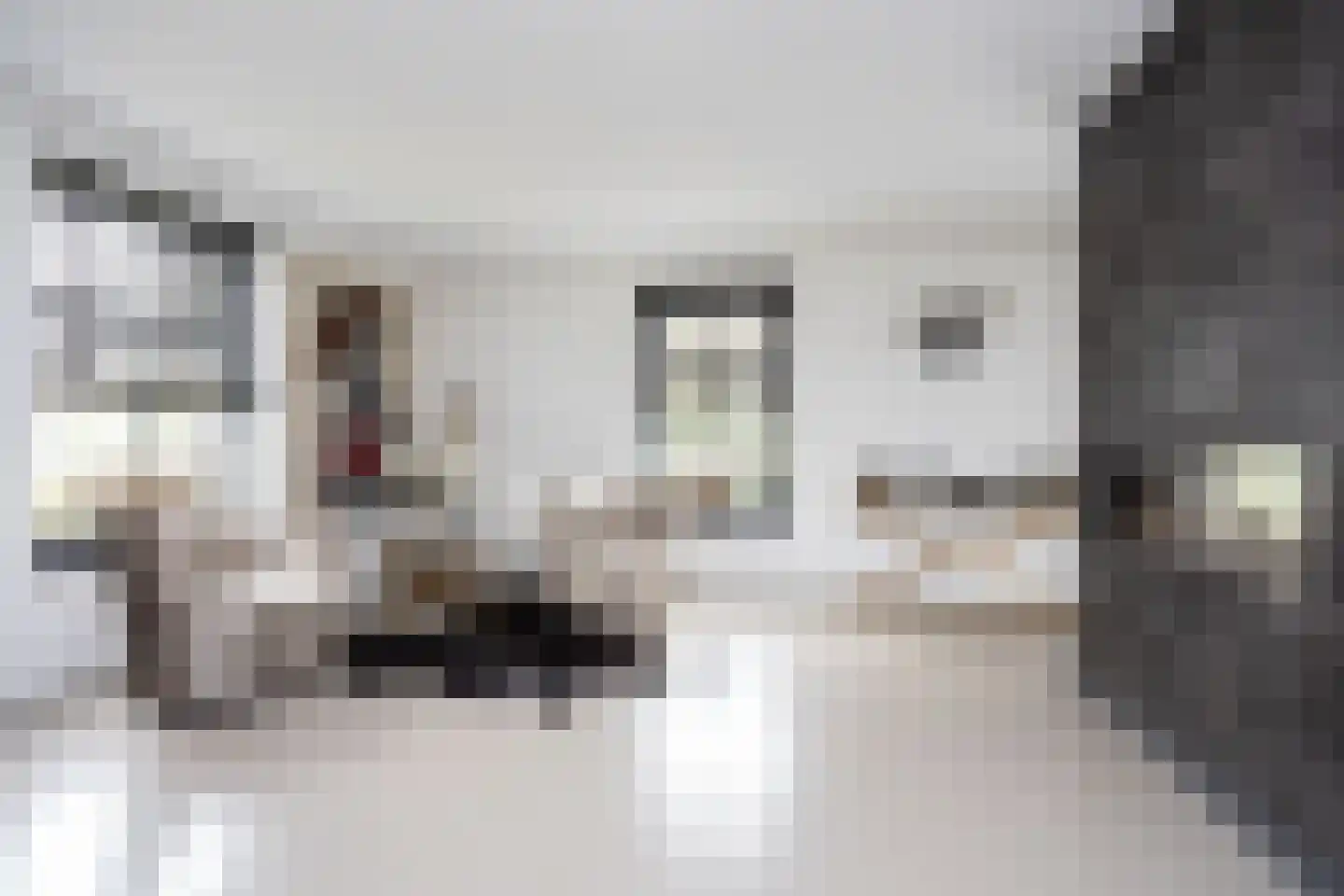 Zuidersingel 10 Berkel en Rodenrijs thumbnail 24