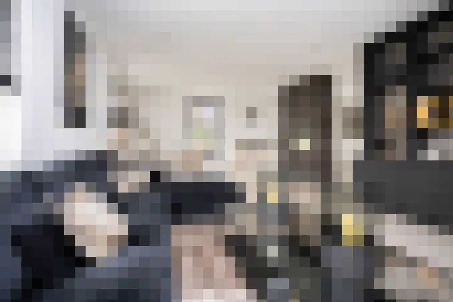 Zuidersingel 10 Berkel en Rodenrijs thumbnail 25