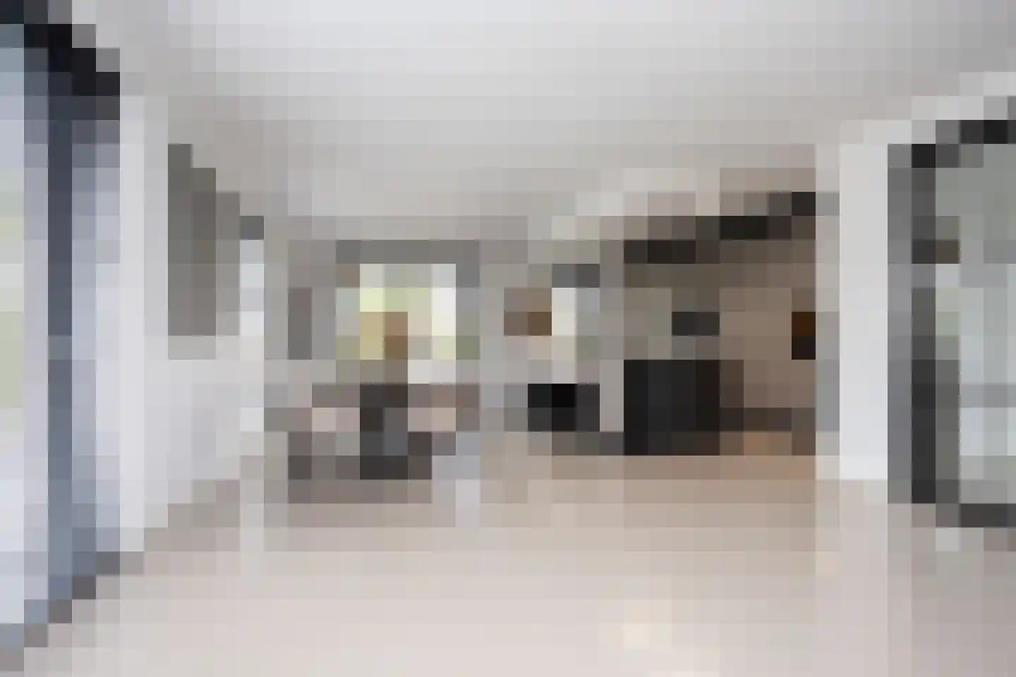 Zuidersingel 10 Berkel en Rodenrijs thumbnail 32
