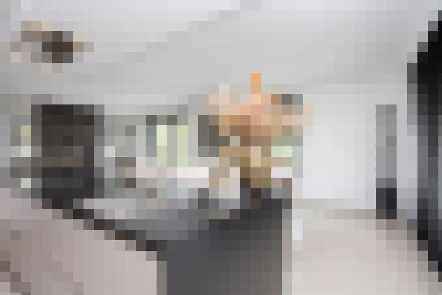 Zuidersingel 10 Berkel en Rodenrijs thumbnail 35