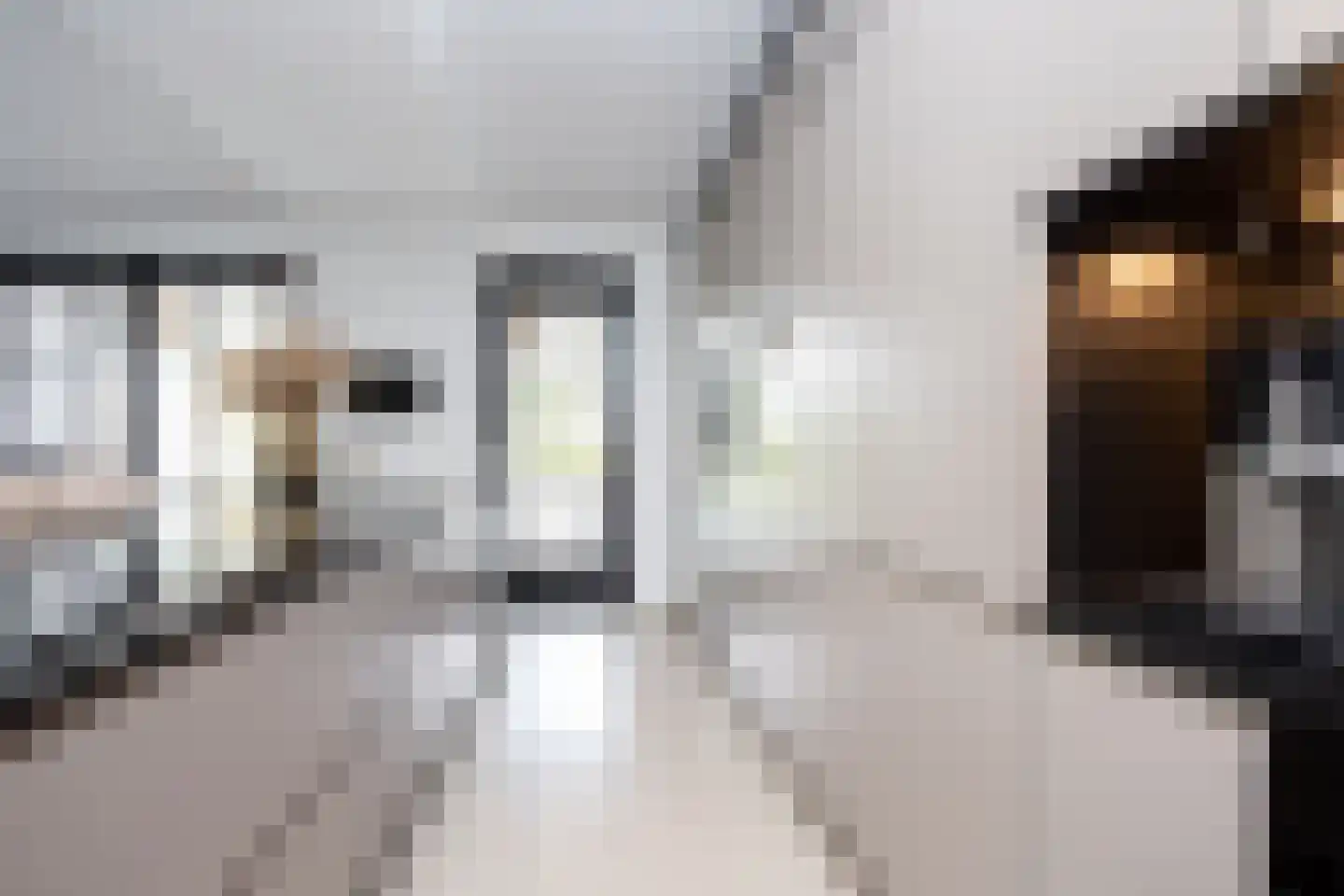 Zuidersingel 10 Berkel en Rodenrijs thumbnail 38