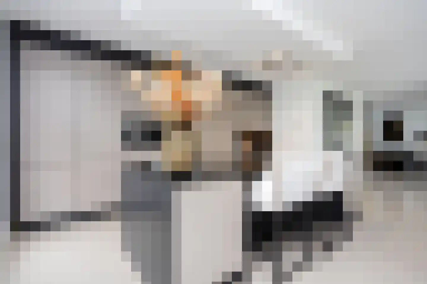 Zuidersingel 10 Berkel en Rodenrijs thumbnail 41