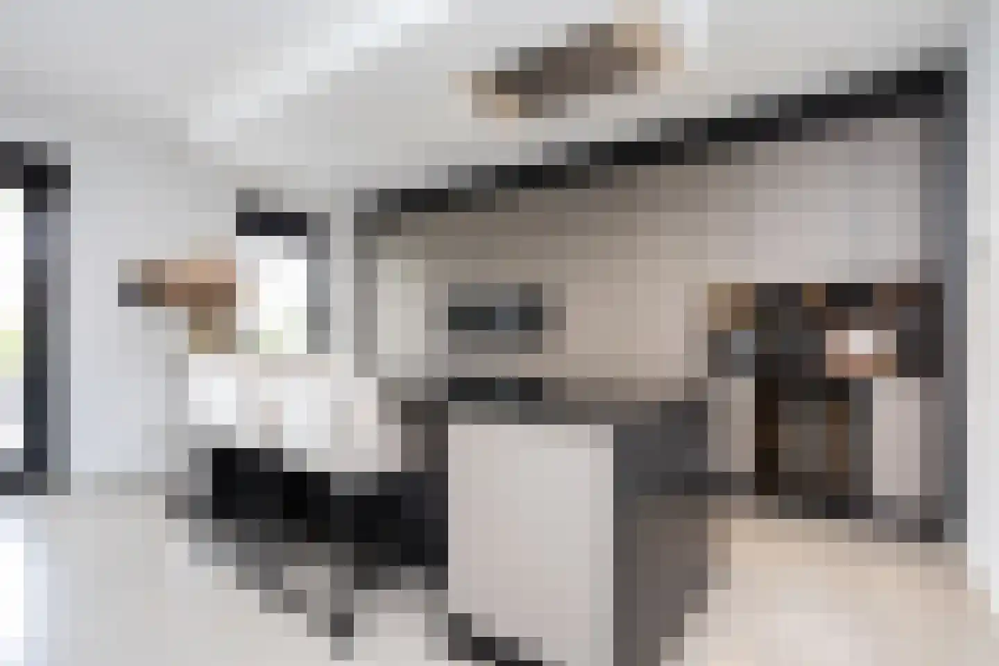 Zuidersingel 10 Berkel en Rodenrijs thumbnail 42