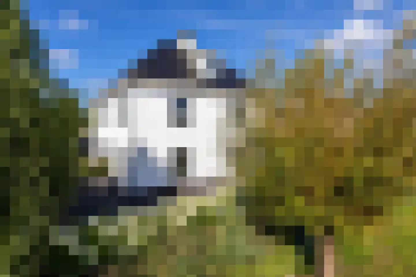 Zuidersingel 10 Berkel en Rodenrijs thumbnail 5