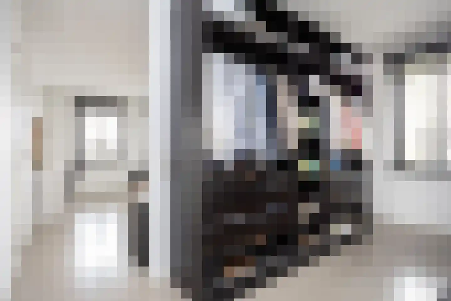 Zuidersingel 10 Berkel en Rodenrijs thumbnail 60
