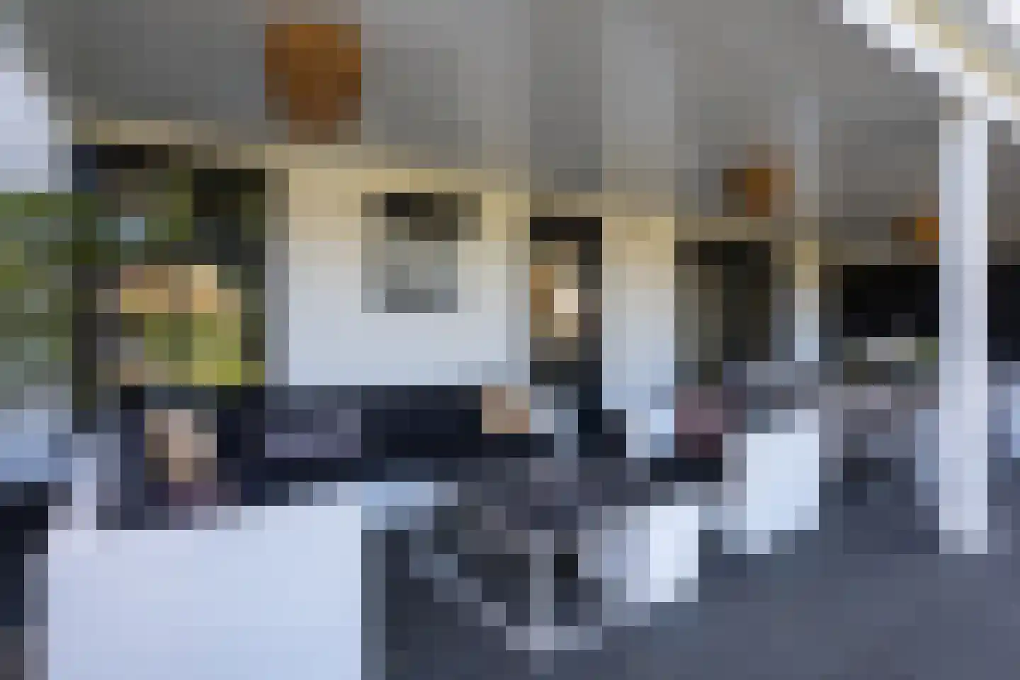 Zuidersingel 10 Berkel en Rodenrijs thumbnail 94