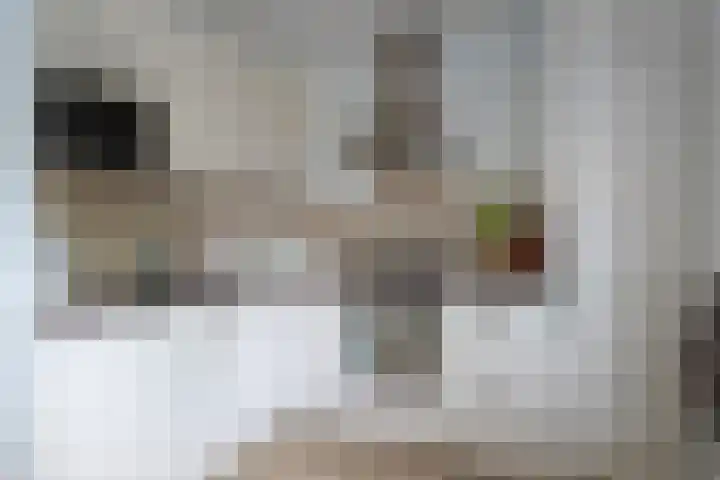 Zuidersingel 13 Groningen thumbnail 12