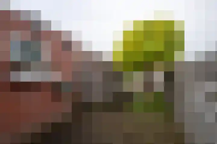 Zuidersingel 13 Groningen thumbnail 27
