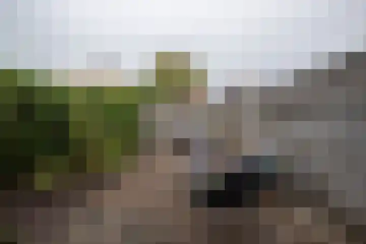 Zuidersingel 13 Groningen thumbnail 29