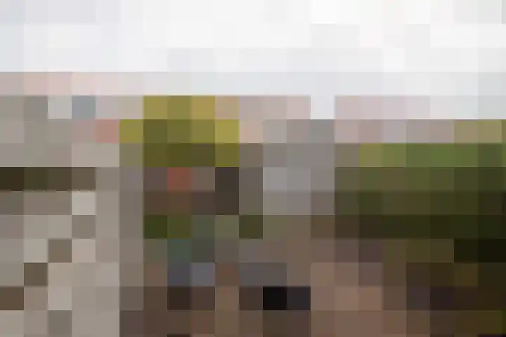 Zuidersingel 13 Groningen thumbnail 30