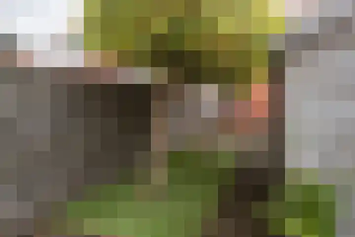Zuidersingel 13 Groningen thumbnail 32