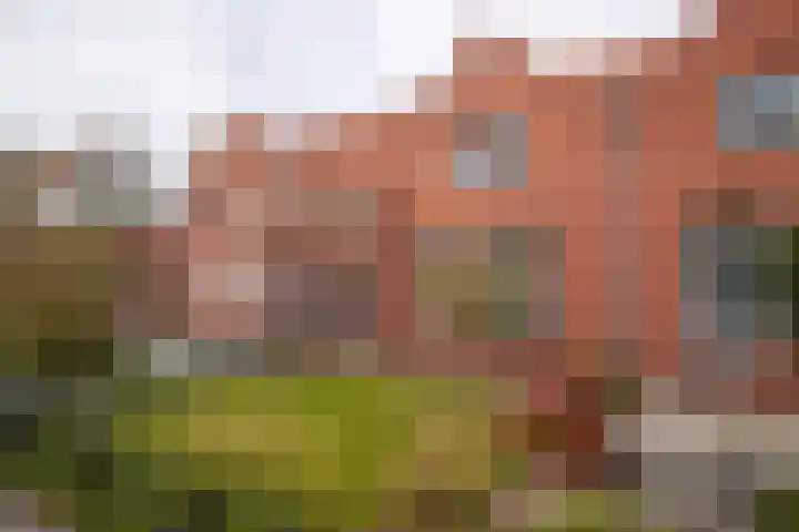 Zuidersingel 13 Groningen thumbnail 33